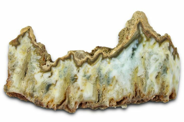 Polished Gabbs Valley Seam Agate Slab - Nevada #371166